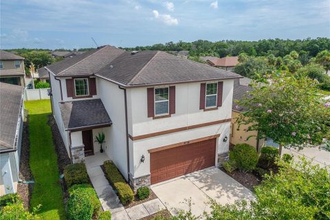 House in Riverview, Florida 4 bedrooms, 247.12 sq.m. № 2319065