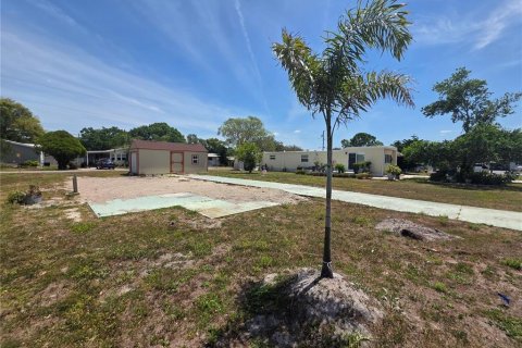 Terrain à vendre à Zephyrhills, Floride № 1717089 - photo 6