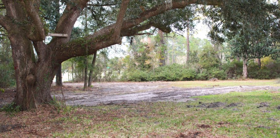 Land in Callahan, Florida № 875756