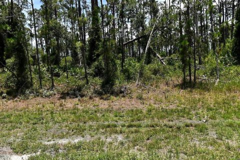 Land in North Port, Florida № 2163379