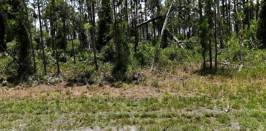 Land in North Port, Florida № 2163379