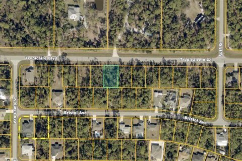 Land in North Port, Florida № 2163379 - photo 3
