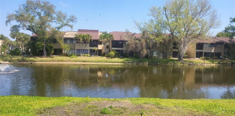Condo à Saint Petersburg, Floride, 2 chambres  № 2226762