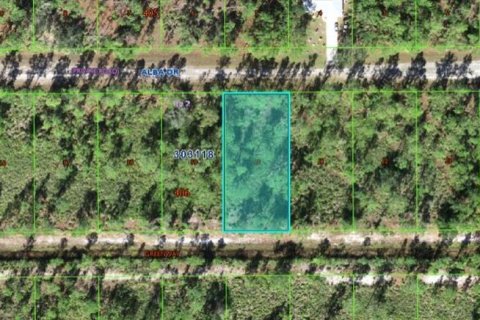 Land in Indian lake estates, Florida № 2162026