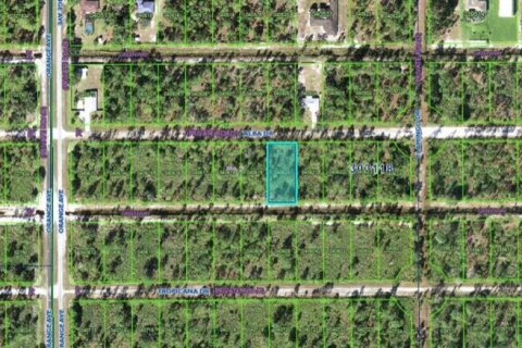 Land in Indian lake estates, Florida № 2162026 - photo 4