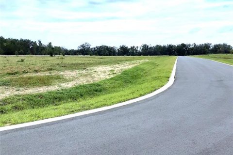 Land in Apopka, Florida № 885302 - photo 13