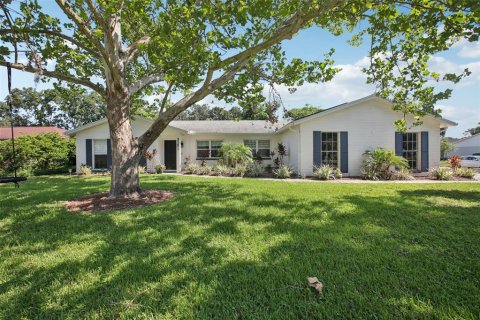 House in Tampa, Florida 4 bedrooms, 170.85 sq.m. № 1853127 - photo 1