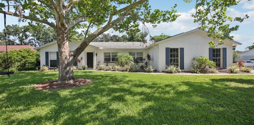 House in Tampa, Florida 4 bedrooms, 170.85 sq.m. № 1853127