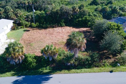 Land in Venice, Florida № 2378956 - photo 13