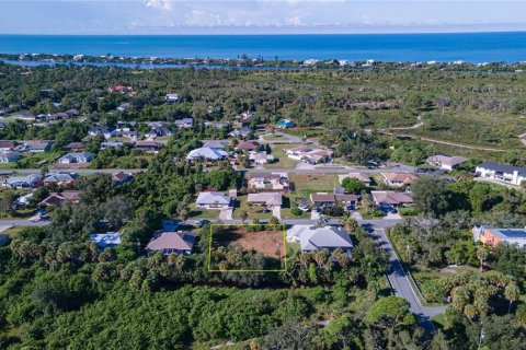 Land in Venice, Florida № 2378956 - photo 5
