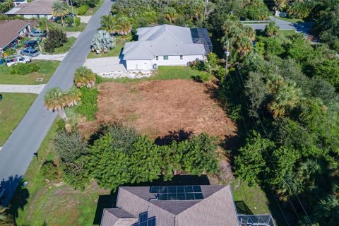 Land in Venice, Florida № 2378956 - photo 11