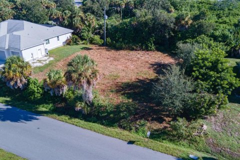 Land in Venice, Florida № 2378956 - photo 14