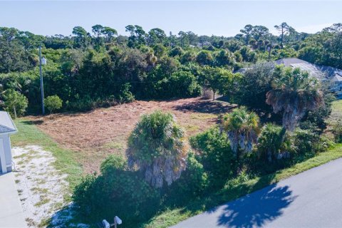 Land in Venice, Florida № 2378956 - photo 15