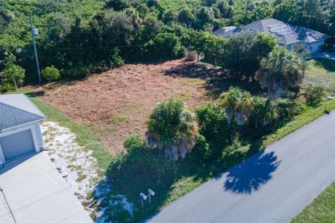 Land in Venice, Florida № 2378956 - photo 3