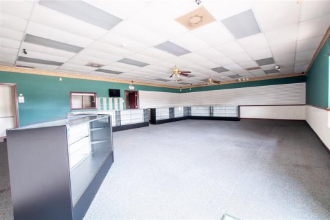 Immobilier commercial à vendre à Wauchula, Floride: 327.02 m2 № 1512417 - photo 20
