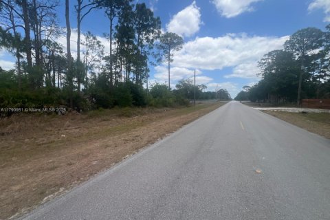 Land in Clewiston, Florida № 1731913 - photo 2