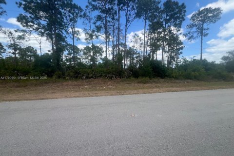 Land in Clewiston, Florida № 1731913 - photo 1