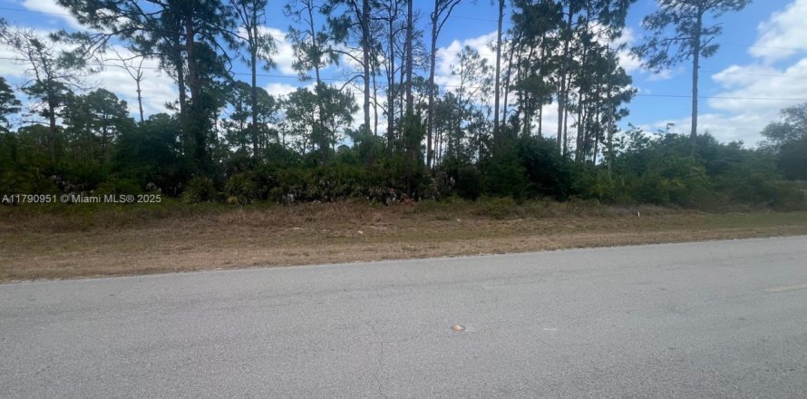 Land in Clewiston, Florida № 1731913