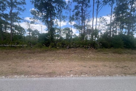 Land in Clewiston, Florida № 1731913 - photo 4