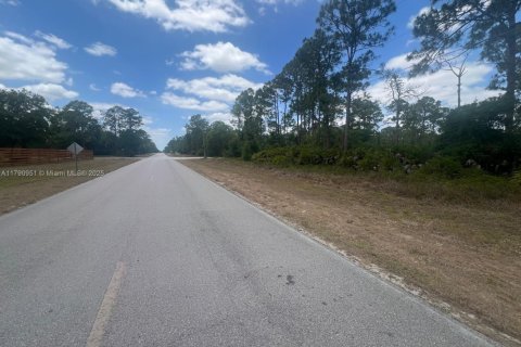 Land in Clewiston, Florida № 1731913 - photo 3