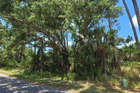 Land in North Port, Florida № 1755364 - photo 3