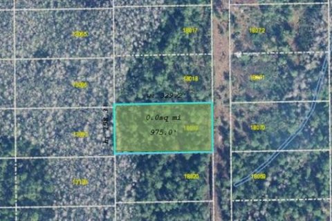Terreno en venta en Orlando, Florida № 2118544 - foto 2