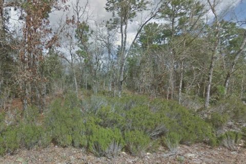 Land in Interlachen, Florida № 2160321