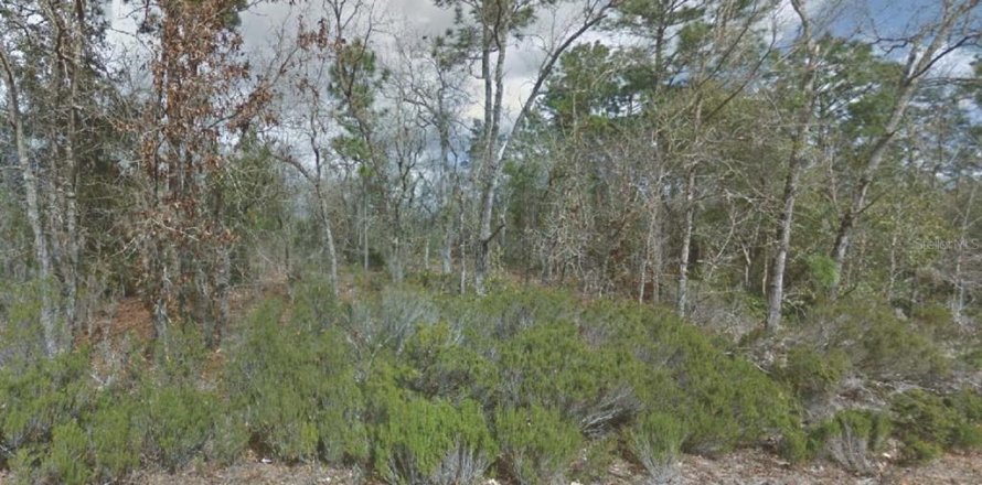 Land in Interlachen, Florida № 2160321