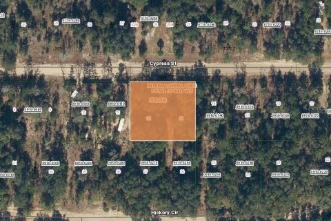 Land in Interlachen, Florida № 2160321 - photo 2