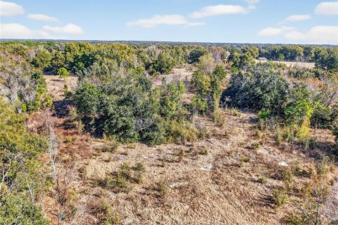 Land in Fruitland Park, Florida № 2121550 - photo 6