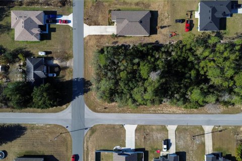 Terreno en venta en Ocala, Florida № 2082664 - foto 17