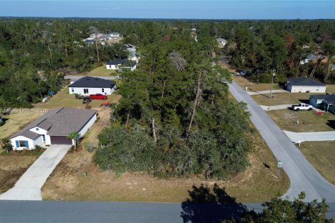 Terreno en venta en Ocala, Florida № 2082664 - foto 2