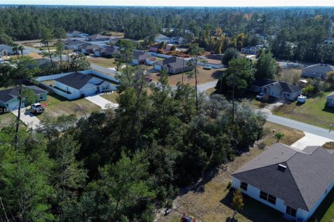 Terreno en venta en Ocala, Florida № 2082664 - foto 13