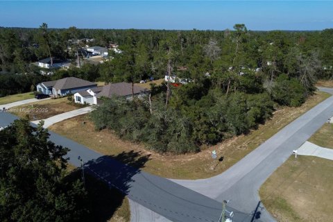 Terreno en Ocala, Florida № 2082664