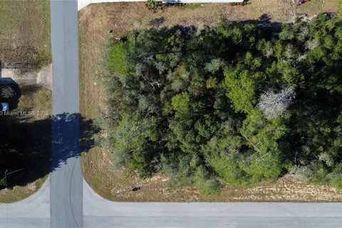 Terreno en venta en Ocala, Florida № 2082664 - foto 16
