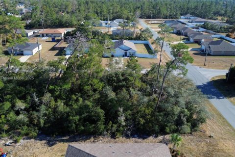 Terreno en venta en Ocala, Florida № 2082664 - foto 12
