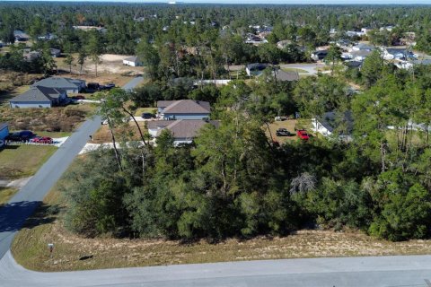 Terreno en venta en Ocala, Florida № 2082664 - foto 3
