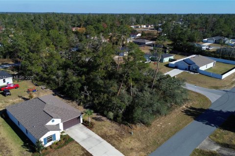 Terreno en venta en Ocala, Florida № 2082664 - foto 11