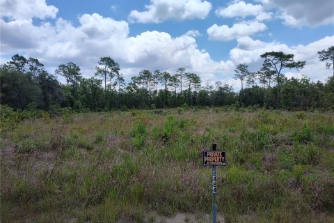 Terreno en venta en Weeki Wachee, Florida № 1767922 - foto 6