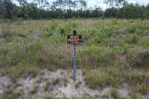 Terreno en venta en Weeki Wachee, Florida № 1767922 - foto 1