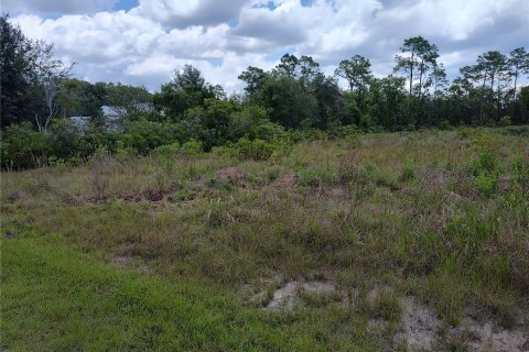 Terrain à vendre à Weeki Wachee, Floride № 1767922 - photo 4