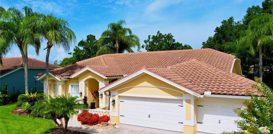 House in Oldsmar, Florida 4 bedrooms, 260.87 sq.m. № 1811087