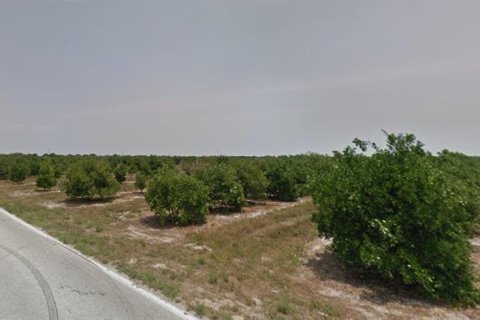 Land in Bartow, Florida № 1551564 - photo 5