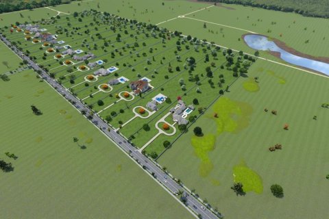 Land in Bartow, Florida № 1551564 - photo 2