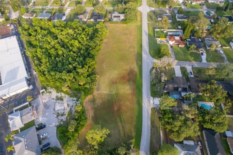 Land in Tavares, Florida № 1762195 - photo 3