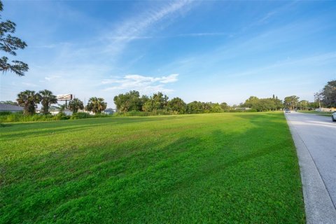 Land in Tavares, Florida № 1762195 - photo 13