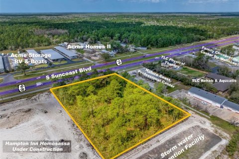 Terreno en venta en Homosassa, Florida № 1511184 - foto 1