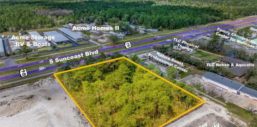 Terreno en Homosassa, Florida № 1511184