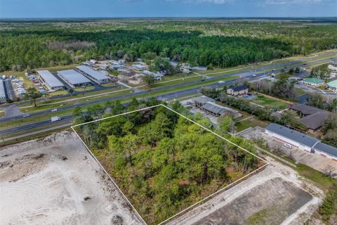 Terreno en venta en Homosassa, Florida № 1511184 - foto 5
