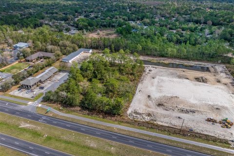 Terreno en venta en Homosassa, Florida № 1511184 - foto 11